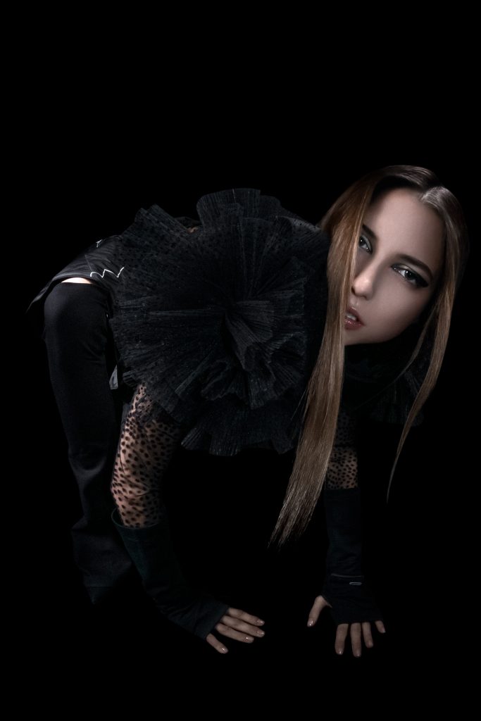 Add a dynamic ALT tag from Wordpress